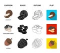 Coconut, acorn, sunflower seeds, manchueian walnut.Different kinds of nuts set collection icons in cartoon,black,outline