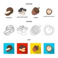 Coconut, acorn, sunflower seeds, manchueian walnut.Different kinds of nuts set collection icons in cartoon,outline,flat