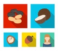 Coconut, acorn, sunflower seeds, manchueian walnut.Different kinds of nuts set collection icons in flat style vector