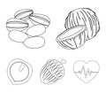 Coconut, acorn, sunflower seeds, manchueian walnut.Different kinds of nuts set collection icons in outline style vector