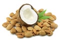 Coconut and almond Royalty Free Stock Photo