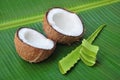 Coconut and aloe vera
