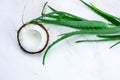 Coconut and aloe vera green leaves onmarble table, natural cosmetics ingredients Royalty Free Stock Photo