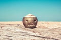 Coconut as a symbol of halloween in the shape of a pumpkin stands a tree. on a tropical beach. Holidays vacation concept. Sepia