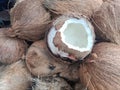 Coconut in the basket Royalty Free Stock Photo