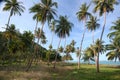 Coconut Beach.