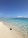 Coconut in the beach - Aitutaki lagoon