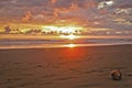 Coconut on the beach at sunset time in Costarica Royalty Free Stock Photo