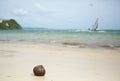 Coconut on a beach and surfers in background Royalty Free Stock Photo