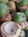 Coconut benefit