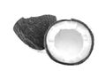 Coconut is black and white.. Half coconut isolated on white background Royalty Free Stock Photo
