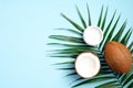 Coconut body cream with half of coconut and palm leaf on blue background. Flat lay, top view. Natural organic cosmetic for summer