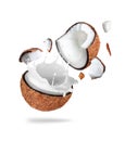 Coconut broken in the air in two halves with milk splashes isolated on white background Royalty Free Stock Photo