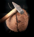 Coconut broken in half with hammer Royalty Free Stock Photo