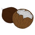 Coconut broken icon. Vector illustration of coconut nut. Hand drawn cartoon coconut. Chopped hairy nut