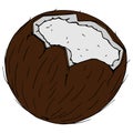 Coconut broken icon. Vector illustration of coconut nut. Hand drawn cartoon coconut.