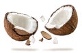 Coconut broken into two halves flies on a white. Isolated