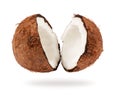 Coconut is broken into two parts closeup on white background Royalty Free Stock Photo