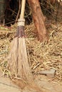 A coconut broom with bamboo tree in nature.