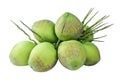 Coconut bunch, coconut young, green coconut, summer fruit