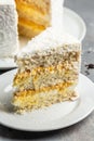 Coconut cake with cream cheese. Food recipe background. Close up. Layered mango cake