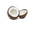 Coconut close up isolated on white Royalty Free Stock Photo