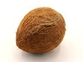 Coconut closeup