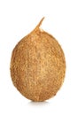 Coconut