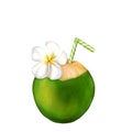 Coconut cocktail illustration isolated on a white. Fangipani flower. Royalty Free Stock Photo