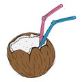 Coconut with a cocktail straw icon. Vector of a broken coconut with a decorative umbrella for cocktails. Hand drawn coconut Royalty Free Stock Photo