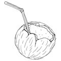 Coconut with a cocktail straw icon. Vector illustration of a broken coconut with a decorative umbrella for cocktails. Royalty Free Stock Photo