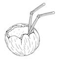 Coconut with a cocktail straw icon. Vector illustration of a broken coconut for cocktails. Royalty Free Stock Photo