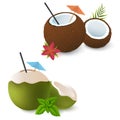 Coconut cocktails with umbrella, red flower and green leaves of mint. Brown and green. Exotic attribute of summer