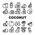 coconut coco fruit white tropical icons set vector