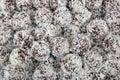 Coconut and cocoa happiness balls. Rum balls in coconut. Traditional unbaked Czech sweets for Christmas and winter. Raw sweet food Royalty Free Stock Photo