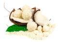 Coconut with coconut candy Royalty Free Stock Photo