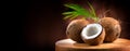 Coconut with coconuts palm tree leaf isolated on back background. Border design. Wide angle. Fresh raw organic half of coco nut Royalty Free Stock Photo