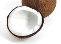 Coconut, cocos nucifera, Fruit against White Background