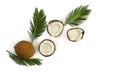 Coconut Cocos nucifera with halves and palm leaves on a white background with space for text. Top view, flat lay
