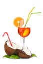Coconut and coctail Royalty Free Stock Photo