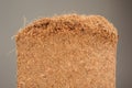 Coconut Coir Close-Up