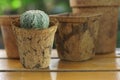 Coconut Coir Pot made from coconut fiber natural material