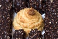 Coconut cookie and chocolate Royalty Free Stock Photo