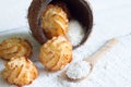 Coconut cookies macarons with copra on a white background