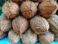 coconut without cover arranged beautifuly for sale