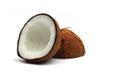 Coconut Royalty Free Stock Photo