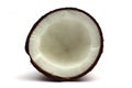 Coconut Royalty Free Stock Photo