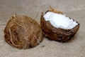 Coconut cut into pieces on burlap Royalty Free Stock Photo