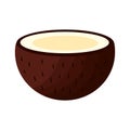 Isolated coconut fruit vector design