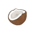 ÃÂ¡oconut digital clip art